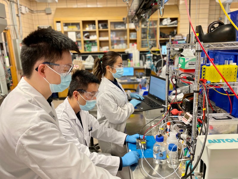 E-quester team members Shijie Liu, Yi Xu and Celine Xiao work on their carbon capture tech in the lab