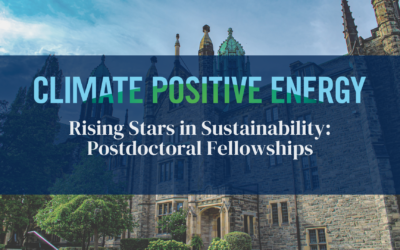 Apply now: Rising Stars in Sustainability: Postdoctoral Fellowships
